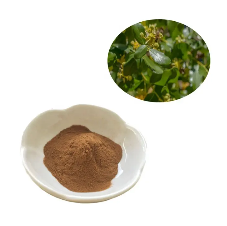 Mua Chiết Xuất Từ Vỏ Cây (Xà Phòng) Của Quillaja Saponaria Cho Mỹ Phẩm