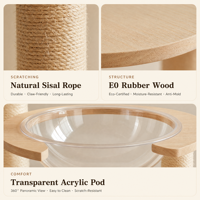 Structure d'escalade pour chat en bois massif, étagère multi-niveaux, lit à gratter en sisal écologique, plateforme de saut, style simple, mobilier d'intérieur