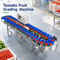 Machine de tri de boîtes Kehong KHLH-6J avec écran tactile pour le tri et la calibrage des fruits tropicaux après la récolte