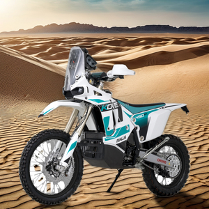 มอเตอร์ไซค์น้ำหนักเบา 450Rally EX Pro พร้อมเครื่องยนต์สูบเดียว น้ำหนักเพียง 150 กก. - Product Image 6