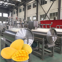Volautomatische Machine Wassen Mango Fruit Mango Productielijn Sap Maken Machine Droger Mango Puree