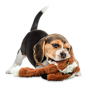 Squeak köpek çiğneme oyuncakları dayanıklı no-doldurma peluş küçük büyük ırklar için manyetik dönüşlü dünya yavru diş çıkarma için interaktif - Product Image 4