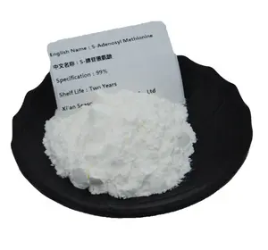 Top Quality SAM/SAM-e S-Adenosyl-L-Methionine Powder Ademetionine CAS 29908-03-0 With Bulk Price