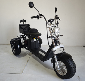 Triciclo Eléctrico Citycoco de Tres Ruedas con Neumáticos Anchos, Scooter Eléctrico de Tres Ruedas, Carro de Golf Eléctrico Citycoco, Disponible en Almacenes de EE. UU./UE - Product Image 3