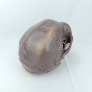 Modèle de crâne humain de Pékin - Modèle d'évolution humaine pour l'enseignement de l'anthropologie, l'exposition muséale et la recherche scientifique - Product Image 6