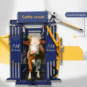 Contenedor de Contención para Ganado Económico con Báscula Electrónica y Puerta de Cierre Automático para la Gestión de Ganado - Product Image 2