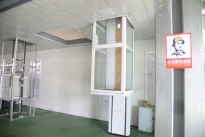 630kg 800kg Công suất PVC cho khách sạn căn hộ biệt thự cabin hiện đại Thiết kế thang máy chở khách cho dân cư thương mại - Product Image 2