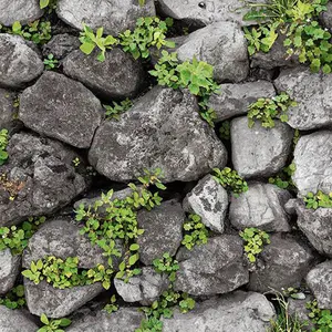 草生长在岩石间3D文化石壁纸鹅卵石pvc墙纸