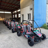 Go Kart Todoterreno de 2 Plazas para Adultos, 212cc, 4 Tiempos, con Llantas de Acero de 10 Pulgadas, Buggy de Carreras para Diversión al Aire Libre y Paseos