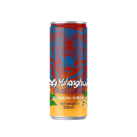 Boisson Énergisante Personnalisable 330ml de Haute Qualité au Gingembre et au Sureau, Faible en Glucides et en Matières Grasses, en Canette Élégante, avec Ginseng, en Bouteille Privée ou en Boîte