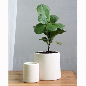Vasi per Piante in Cemento Bianco e Nero Economici Cinesi, Vasi in Ceramica Dipinti per Fiori - Product Image 3