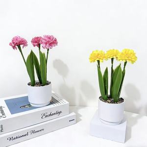 Bonsaï de chrysanthème artificiel Yuhua 10cm-30cm, plante en pot en plastique pour la décoration de bureau - Product Image 2