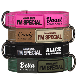 Gran oferta, Collar de perro bordado personalizado con rayas reflectantes, nombre personalizado, etiqueta de teléfono ajustable para perros medianos y grandes - Product Image 1