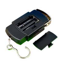 Échelle suspendue numérique Portable 50kg outil de pesage numérique électronique rétro-éclairé vert pour bagages hameçon balance de voyage