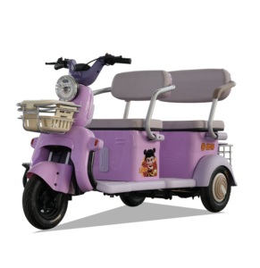 Tricycle pliable 60V pour adultes, scooter à châssis ouvert, pédales, vitesse 30-50 km/h, autonomie 50-70 km, 2 places, moteur 251-350W, mobilité - Product Image 4