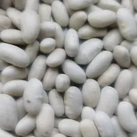 Organic Dry White Kidney Beans, Hot Sale