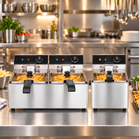 Friteuse électrique professionnelle double cuve 3,25 kW 8L+8L 16L en acier inoxydable de comptoir avec contrôle de température et robinet de vidange