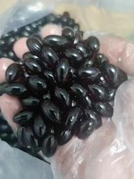 Capsule d'hymen artificiel à succès – Pilule de sang vaginal pour l'hygiène féminine, resserrement intime, première nuit, 100 % naturel à base de plantes
