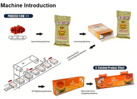 Ligne de production et d'emballage automatique de tabac à chicha 50G 500G, machine d'emballage de sachets de chicha, machine d'emballage en carton pour boîtes de chicha
