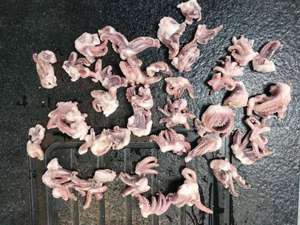 Xúc Tu/Đầu Mực Đông Lạnh - Product Image 4