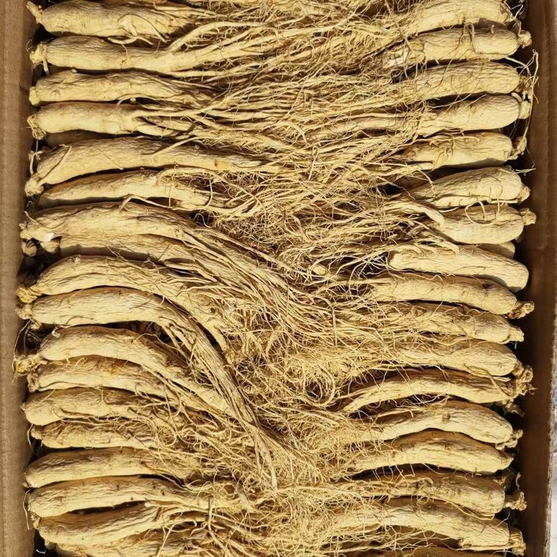 Forsythia Dried Agricultural Products in Bag