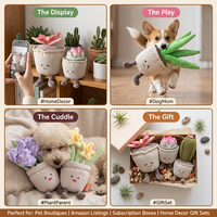 Jouet pour chien en peluche écologique en forme de plante succulente, cactus en pot, couineur, doux et interactif pour chiot, usine OEM ODM