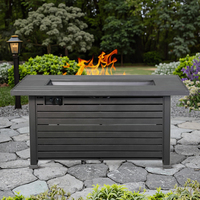 Foyer rectangulaire de gaz de Propane de Table de feu de paquet plat de 54 pouces avec la chaleur 50000BTU de revêtement de poudre de température