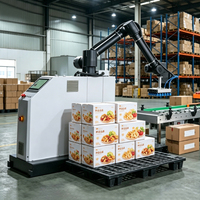Lengan Robot 6 Sumbu Tahan Beban yang Stabil dengan Gripper Robot Kustom untuk Pengemas Karton Pabrik, Robot Pengemas Kemasan, dan Robot Palletizer