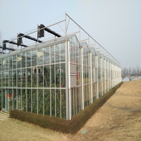 Serre agricole multi-travées de grande envergure en verre avec structure en aluminium et résistance super robuste