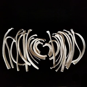 Modelo <span class=keywords><strong>de</strong></span> Anatomía <span class=keywords><strong>de</strong></span> esqueleto desarticulado <span class=keywords><strong>de</strong></span> tamaño real - Product Image 6