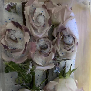 Hút ẩm loại tinh thể mới silica gel để làm khô hoa - Product Image 4