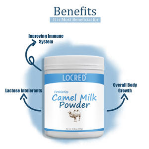 Kişiselleştirilebilir Özel Etiketli Deve Sütü Tozu Antioksidan Güzellik Bağışıklık Desteği Enerji 300g Yetişkinler İçin - Product Image 4