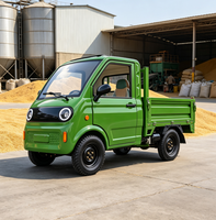 Véhicule électrique à benne basculante à 4 roues certifié CEE, véhicule électrique 3500W, camion à énergie nouvelle, 25 km/h, 2 places, E-pickup