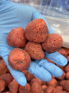 Fragole FD a frutto grande - Sane, senza sensi di colpa, riducono il grasso, confezione piccola, lotto grande, personalizzabili - Product Image 2