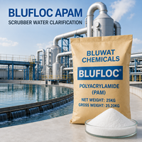 Poudre granulaire Off-White 20-100 Mesh Polyacrylamide Anionique APAM pour la clarification de l'eau des épurateurs thermiques Sac PE 25kg