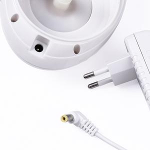 Rodillo de masaje eléctrico para la familia Daren, masajeador reductor de grasa, quemador de grasa, novedad de 2020 - Product Image 2