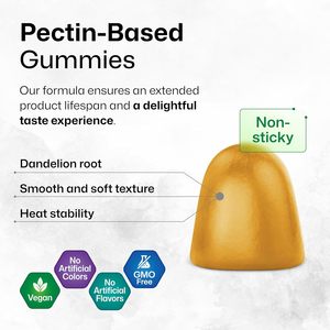 Diskon besar-besaran JAYHOO suplemen sistem pernapasan pembersih paru-paru pendukung tergerai <span class=keywords><strong>Bromelain</strong></span> Vegan akar Dandelion Gummies - Product Image 4