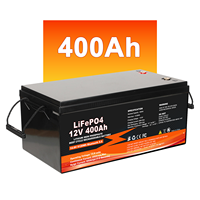 Batterie de stockage d'énergie Lifepo4 directement de l'usine, 12,8V 25,6V 51,2V 100Ah 200Ah 300Ah 400Ah avec BMS intelligent pour système solaire hors réseau