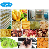 Déshydrateur de viande entièrement automatique équipement machine de séchage de peau d'orange déshydrateur commercial de noix de coco