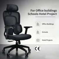 Chaise de bureau ergonomique haut de gamme avec soutien lombaire réglable, dossier en maille pour un confort optimal lors de longues heures assises