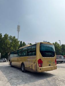 Autobús Eléctrico Comercial de Gran Tamaño, Año 2017, Alta Tasa de Utilización, Sistema Completo, de China, en Venta - Product Image 3