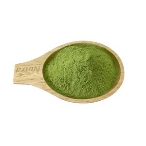 Top-Qualität Werkslieferung Bio-Kalepulver grünes Pulver in Lebensmittelqualität 100 % natürlich