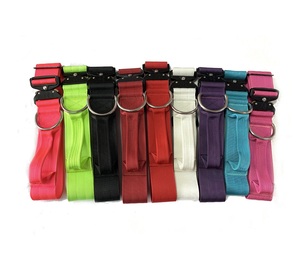 Collar de Nailon de <span class=keywords><strong>2</strong></span> Pulgadas para Perro con Mango Controlable, Diseño Clásico y Moderno, Hebilla de Metal y Cintas - Product Image 1
