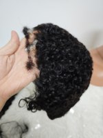 Letsfly Promotion 49$ Perruques Courtes Bouclées HD Lace Chioma avec Baby Hair, Frontale en Dentelle 13x4, 100% Cheveux Humains Naturels, Vente en Gros 120g