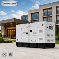 Générateur diesel industriel de secours pour hôtel, démarrage électrique ATS, super silencieux, 20/30/40/50/60/120 kW, triphasé, 230 V, 400 V, 50/60 Hz