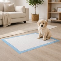 Tapis d'apprentissage pour chiots, doux, non tissés, super absorbants, avec noyau SAP, séchage rapide, anti-fuite, support PE, vente en gros OEM