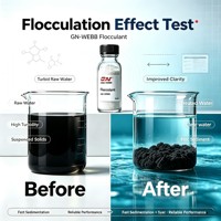 Floculants Anioniques, Cationiques et Non Ioniques pour le Traitement des Eaux Usées