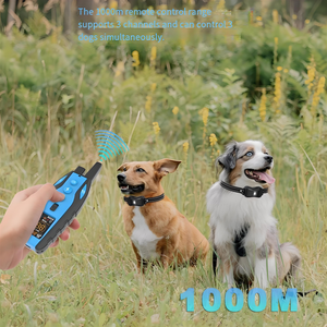 <span class=keywords><strong>Collar</strong></span> de entrenamiento para perros Collares de choque de entrenamiento con opciones de vibración para perros pequeños y grandes Clasificado Discover <span class=keywords><strong>Best</strong></span> Waterproof - Product Image 6