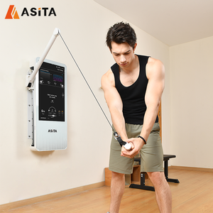 ASITA Smart Home Gym Fitness Equipment Multi-Function Digital Weight <b>Trainer</b> for Home Use Wall Mounted Strength Training ASITA H - Product Image 6