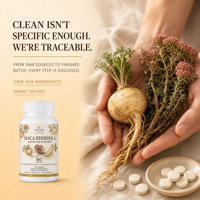 Complément Alimentaire Herbal en Comprimés de Maca, Rhodiola et Ginseng Américain, 60 Unités, Sans Gluten, Soutien Énergétique Quotidien pour Adultes